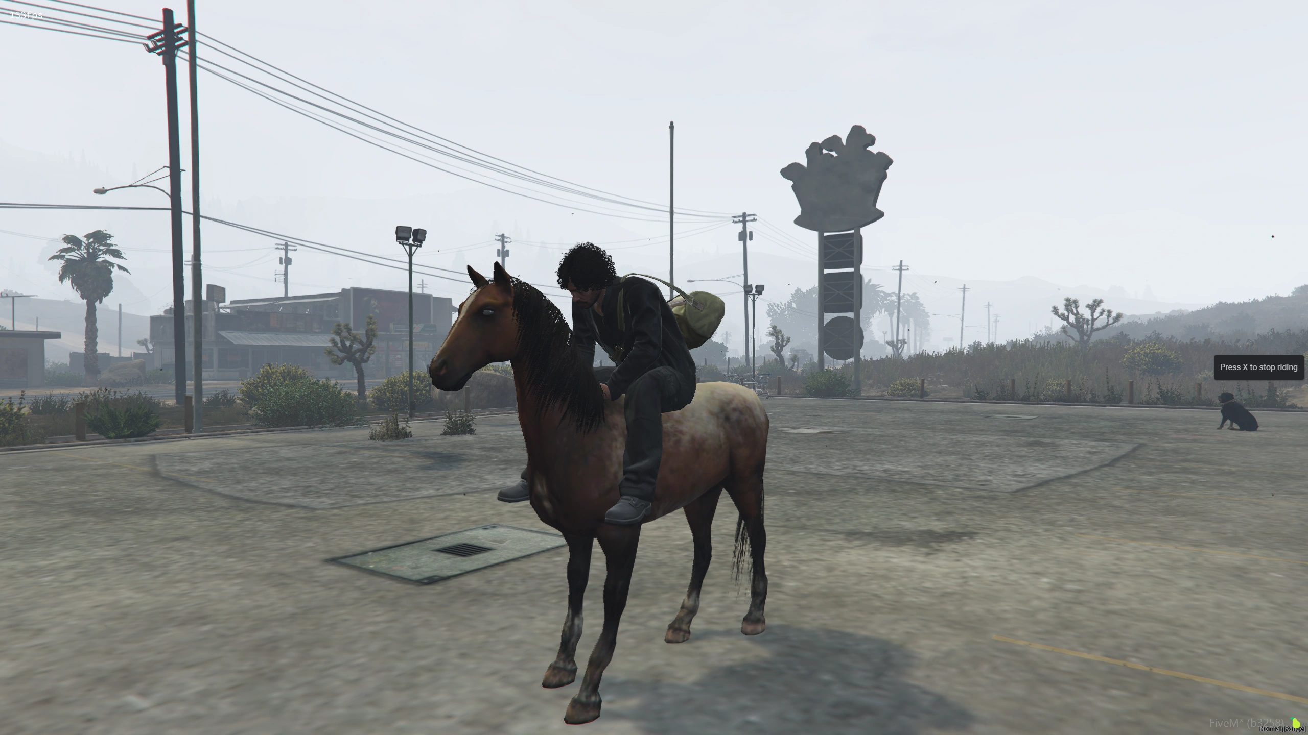 Electus Pets: Riding
