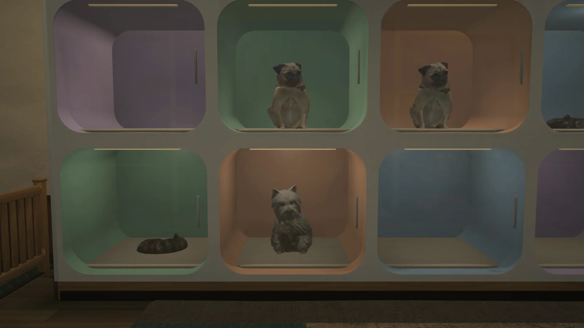 Electus Pets MLO: Adoption Pods