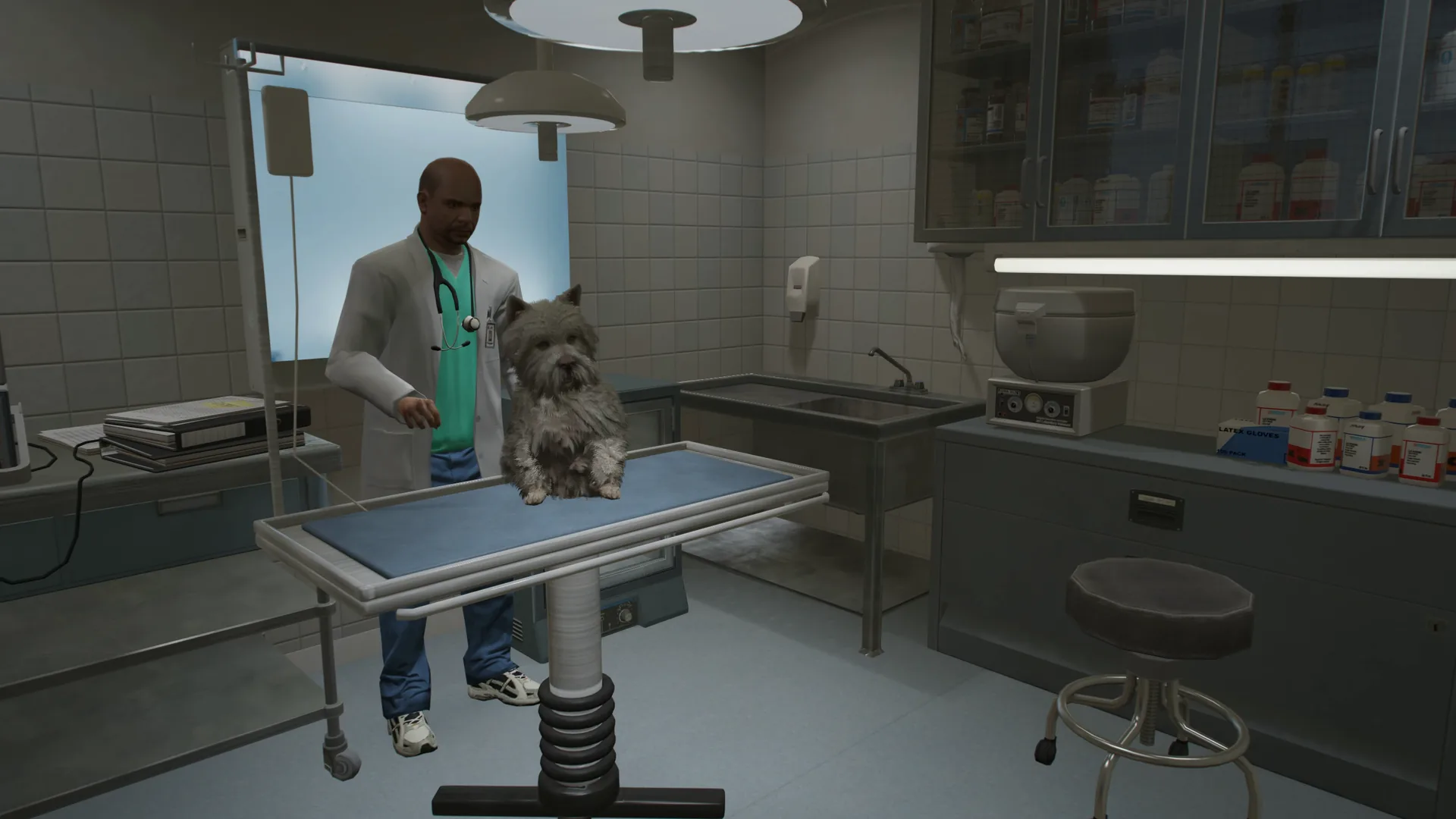 Electus Pets MLO: Veterinary Clinic